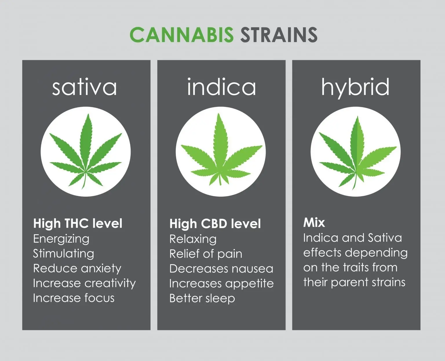 Indica contre Sativa contre hybride